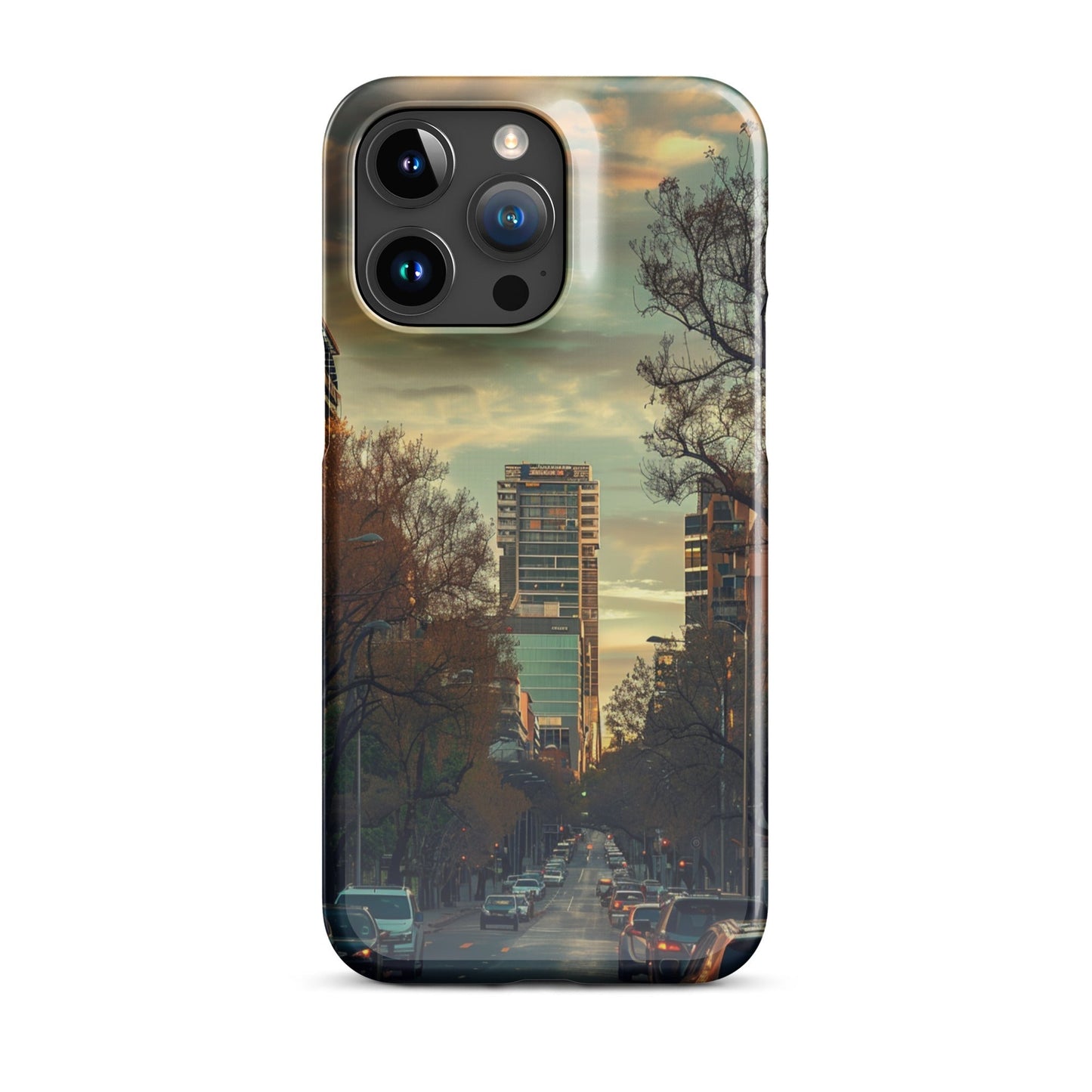 Adelaide Phone case for iPhone