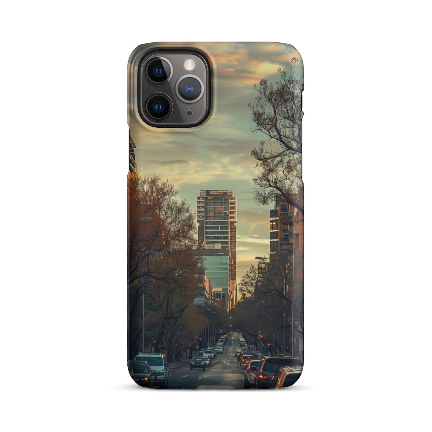Adelaide Phone case for iPhone